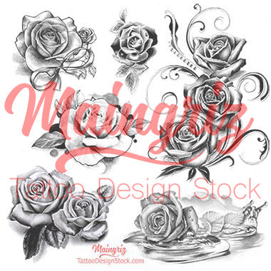 Detailed Sketch Of A Rose Flower On A Red Blur Background. Rose Tattoo  Sketch Stock Photo, Picture and Royalty Free Image. Image 195147768.